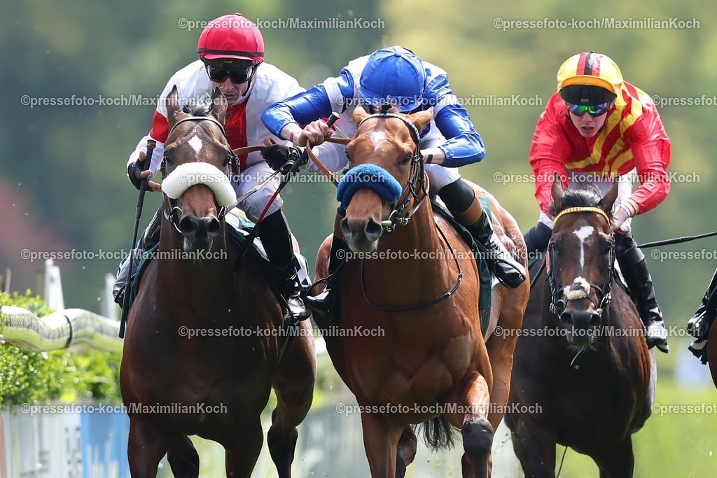 Kre26042699501 | Asker siegt unter Leon Wolff im Business-Banking-Cup, Dr. Busch-Memorial, Gr.3  am 26.04.2026 Renntag in Krefeld Copyright by Marc Ruehl - Veroeffentlichung nur gegen Honorar (zzgl.MwSt), Namensnennung und Beleg, Bank Routing Number: BIC GENODED1PAF, Bank Account Number: IBAN DE04 3706 2600 1201 6180 17, Steuer-Nr.: 203/5266/0306, Ust_Id_Nr.: De 122081417, Zur Gaulshuette 29, 50181 Bedburg, Phone: +49-(0)2272-83351, www.marcruehl.com, info@marcruehl.com, No Model Release, Abtretung von Persoenlichkeitsrechten der abgebildeten Person/Personen liegen nicht vor. Speichern in Bilddatenbanken oder Vervielfaeltigung ist ohne schriftliche Genehmigung nicht gestattet.