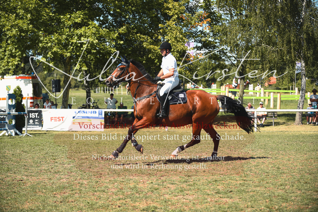 DSC_7114 | Pferde- und Turnierfotografie in Westsachsen. Pferdeportraits, Auftragszeichnungen und intuitive Kunst.