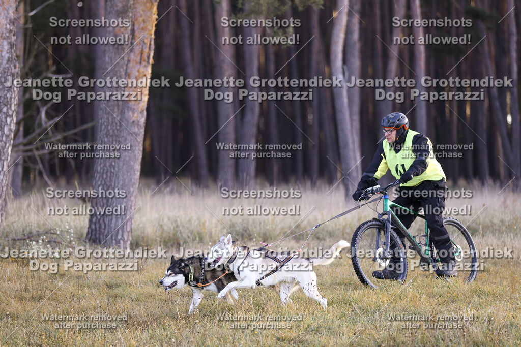 Dog Paparazzi - Elsholz 25 -15 | Dog Paparazzi Jeanette Grottendiek Fotografie & Videografie - Realisiert mit Pictrs.com