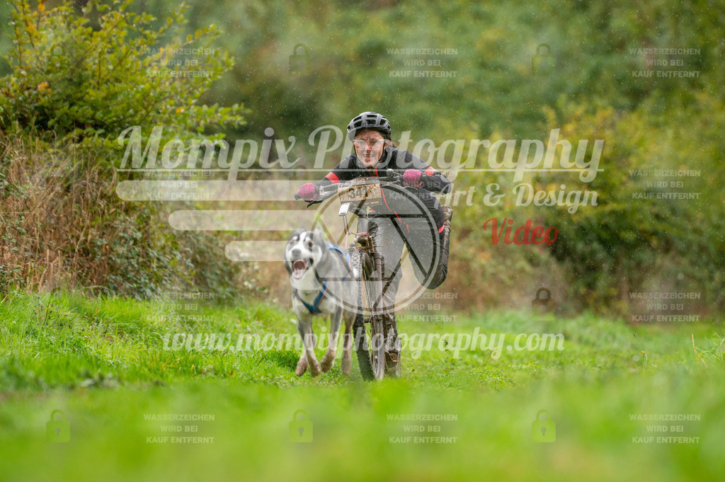 TSB_2023_E6_DS1-38 | PayLife