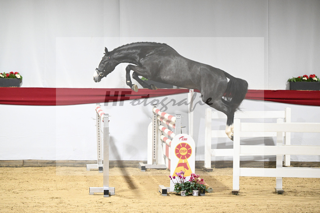 Kat-Nr. 41 v. Asca_Buchele_63221033 | hf-fotografie - Realizzato con Pictrs.com