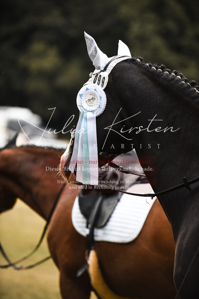 DSC_6425 | Pferde- und Turnierfotografie in Westsachsen. Pferdeportraits, Auftragszeichnungen und intuitive Kunst.