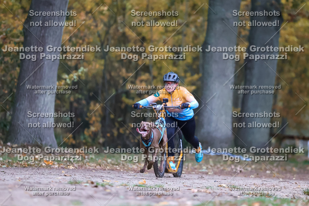 Dog Paparazzi - SD CaniX Championship 2025-21 | Dog Paparazzi Jeanette Grottendiek Fotografie & Videografie - Realisiert mit Pictrs.com