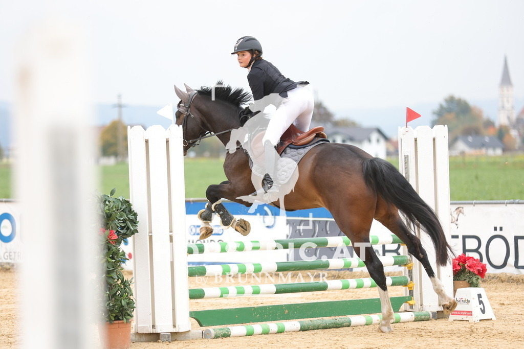 0P6A2302 | Willkommen bei Brunnmayr - Design & Fotografie – Ihrem Spezialisten für Reitturniere und Pferdeveranstaltungen in Oberösterreich, Salzburg und Bayern! Seit über 17 Jahren sind wir leidenschaftlich dabei.