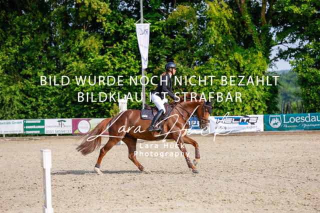 _62_3583 | larahueckfotografie