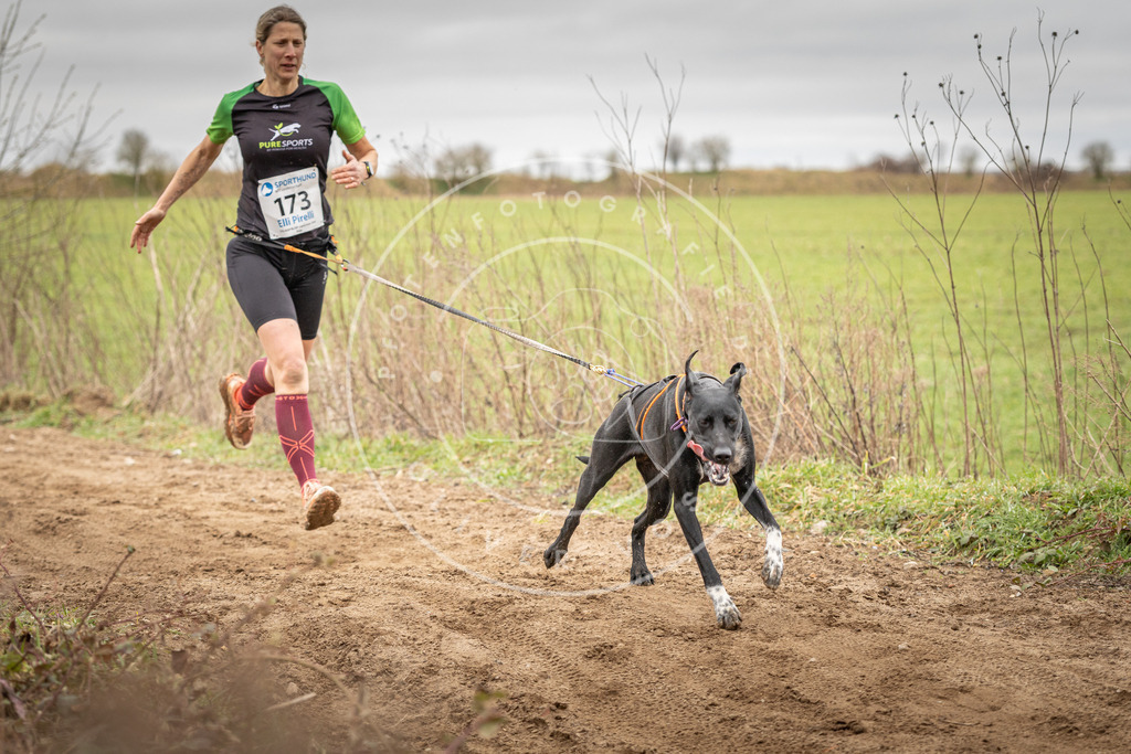 DV3A1993 | Hundefotografie, Tierfotograf, Pfotenfotografie, Fotoshooting Hund, Hunde Portrait, Hundesport, Hundeportraits, Heideshooting, Hunde, Sportfotograf, Hundefotograf, Turnierhundsport, THS,  - Realisiert mit Pictrs.com