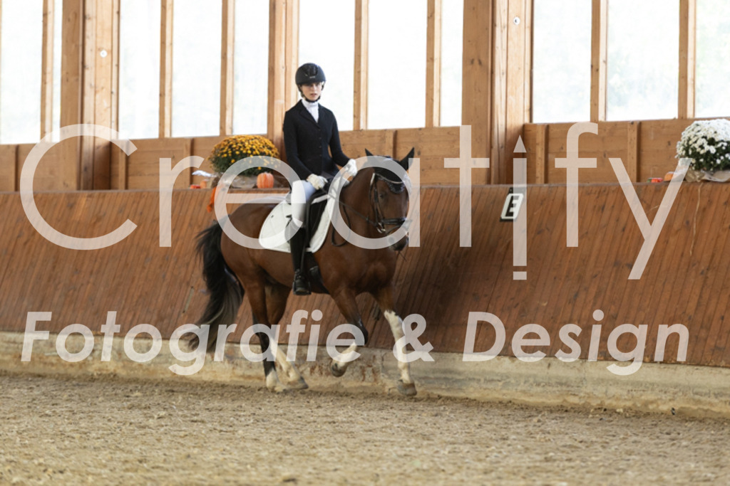 IMG_6185 | Creatify Fotografie