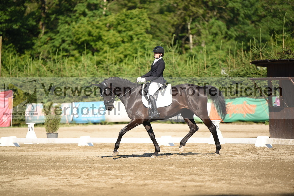 DSC_7020 | equestrian-live-com
