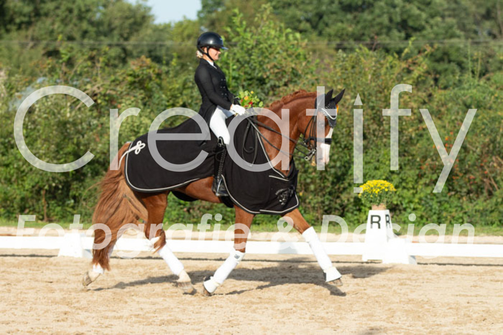 IMG_5208 | Creatify Fotografie