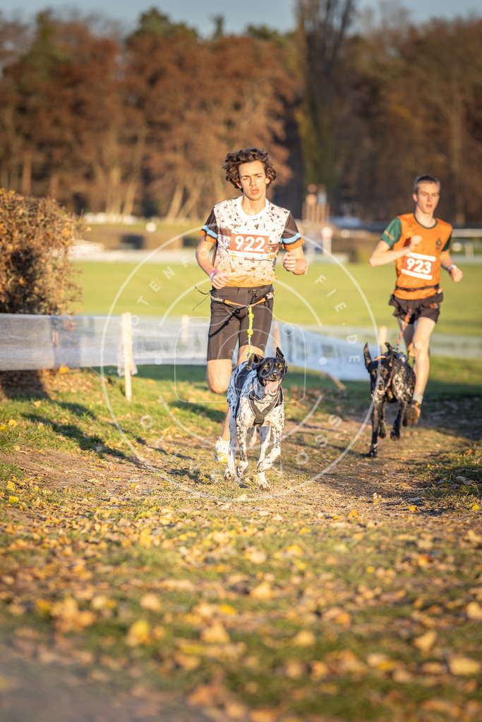 CaniXpix_DV3A4952 | Hundefotografie, Tierfotograf, Pfotenfotografie, Fotoshooting Hund, Hunde Portrait, Hundesport, Hundeportraits, Heideshooting, Hunde, Sportfotograf, Hundefotograf, Turnierhundsport, THS,  - Realisiert mit Pictrs.com