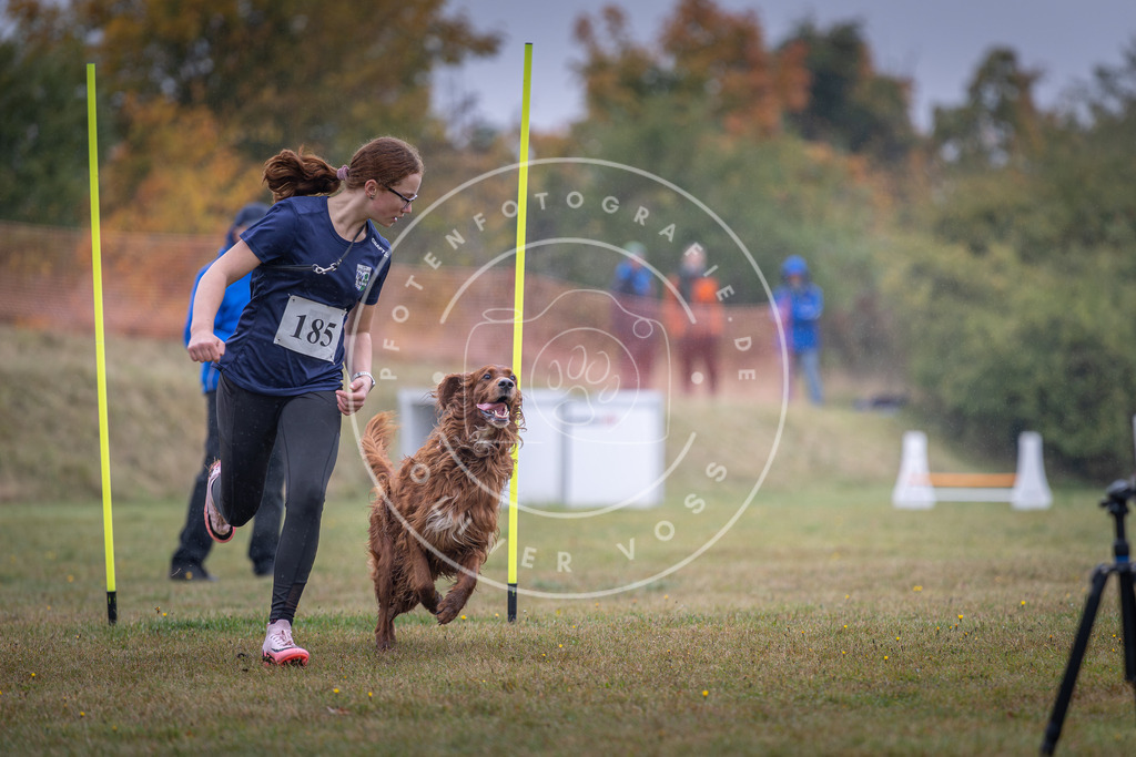 Pfotenfotografie_DV3A0086 | Hundefotografie, Tierfotograf, Pfotenfotografie, Fotoshooting Hund, Hunde Portrait, Hundesport, Hundeportraits, Heideshooting, Hunde, Sportfotograf, Hundefotograf, Turnierhundsport, THS,  - Realisiert mit Pictrs.com