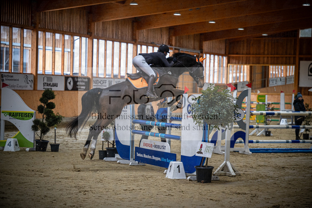 DOS_0172 | Entdecke hochwertige Reitturnierfotos von Foto Oger. Professionell, emotional und authentisch – jetzt Lieblingsmomente im Shop bestellen.Deutschlandweite Turnierfotografie. - Realisiert mit Pictrs.com