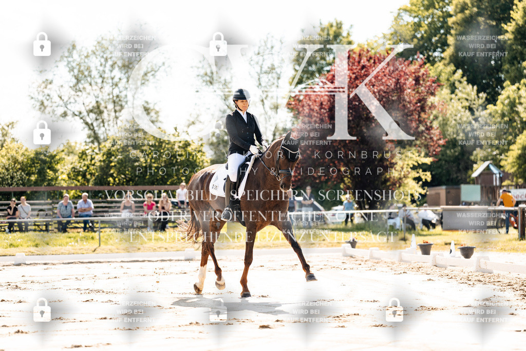CK909123 | Turnierfotografie Pferdefotografie Trier Rheinland-Pfalz Pferdesport Reitsport Tierfotografie Sportfotografie Pferdevideo Pferdevideografie Equestrianvideography equestrianphotography  - Realisiert mit Pictrs.com