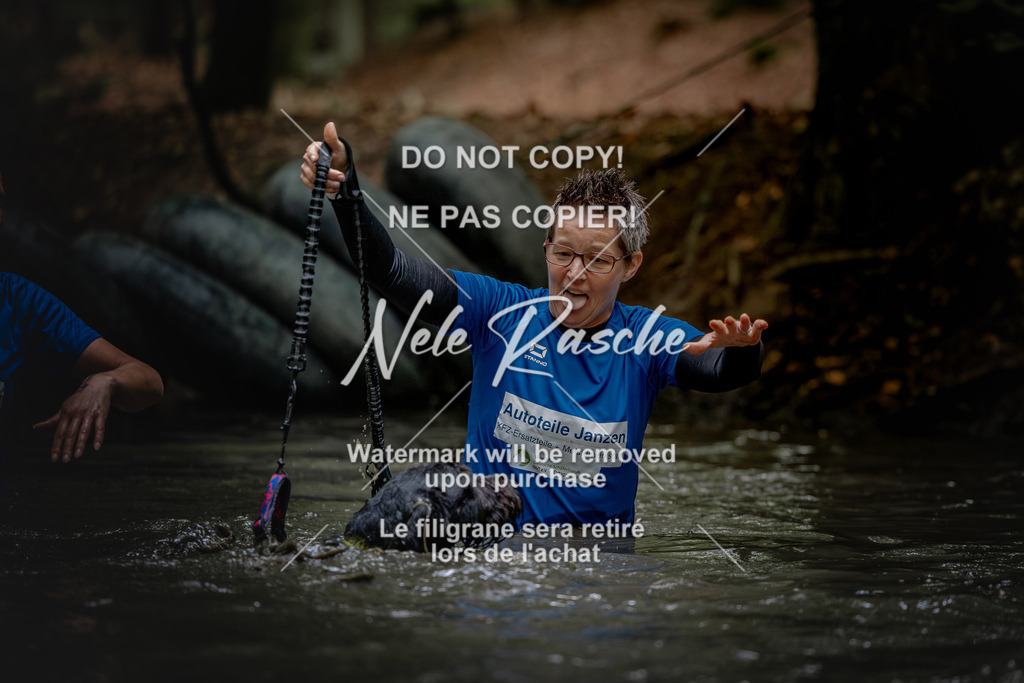nelerasche_SaWingst1200-1230_291 | nelerasche