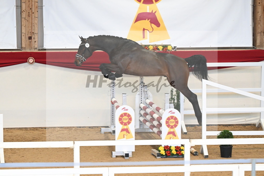 Kat.-Nr. 11 v. Conthargos_Schlamminger_3261566 | hf-fotografie - Realizzato con Pictrs.com