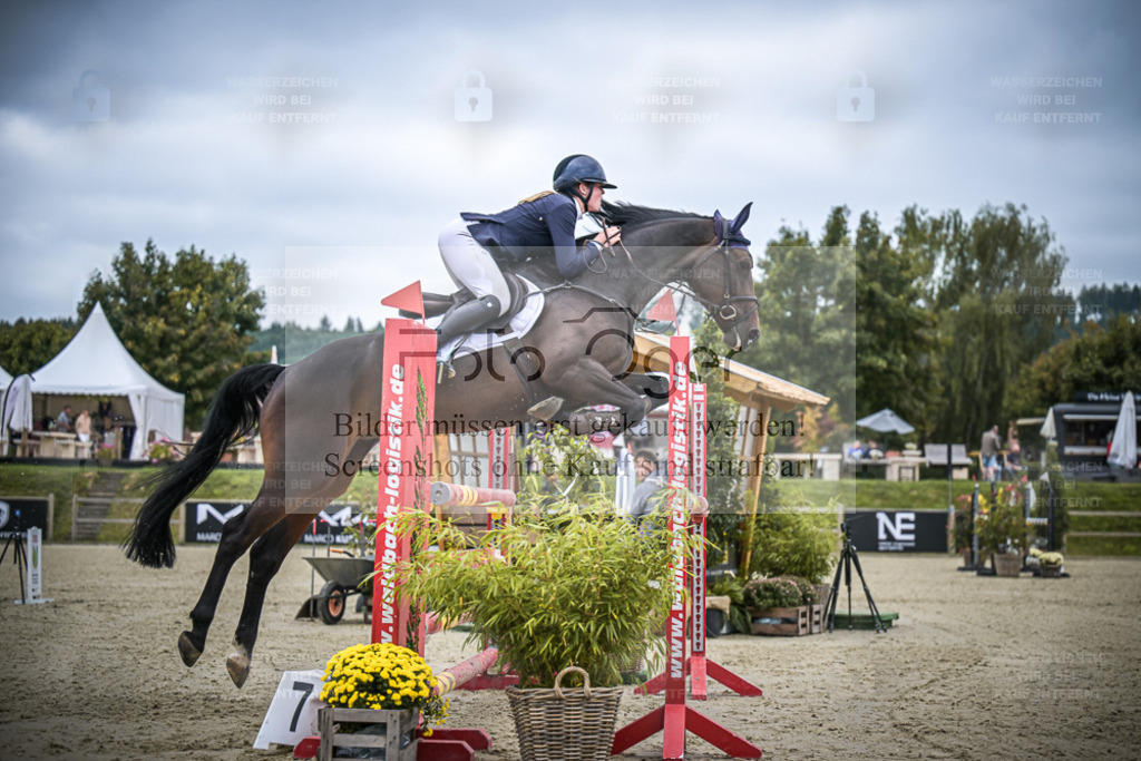 DOS_0636 | Entdecke hochwertige Reitturnierfotos von Foto Oger. Professionell, emotional und authentisch – jetzt Lieblingsmomente im Shop bestellen. - Realisiert mit Pictrs.com