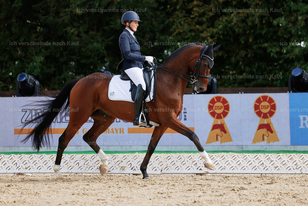 05-109-DRESSUR M_  -StoibPH-4933 | working equitationturnier fotograf videograf stoibphotography marixx film working equitation deutschland reitsport turnierfotografie eventfotografie equestrian events