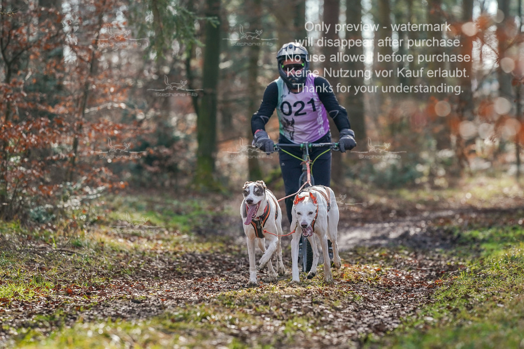 So_Scooter_2-79 | stephaniefillaphotographie - Realisiert mit Pictrs.com