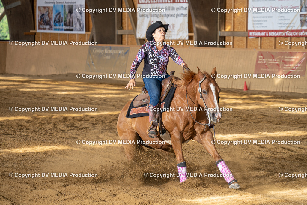 DSC00533 | dv-media-shop - Realisiert mit Pictrs.com