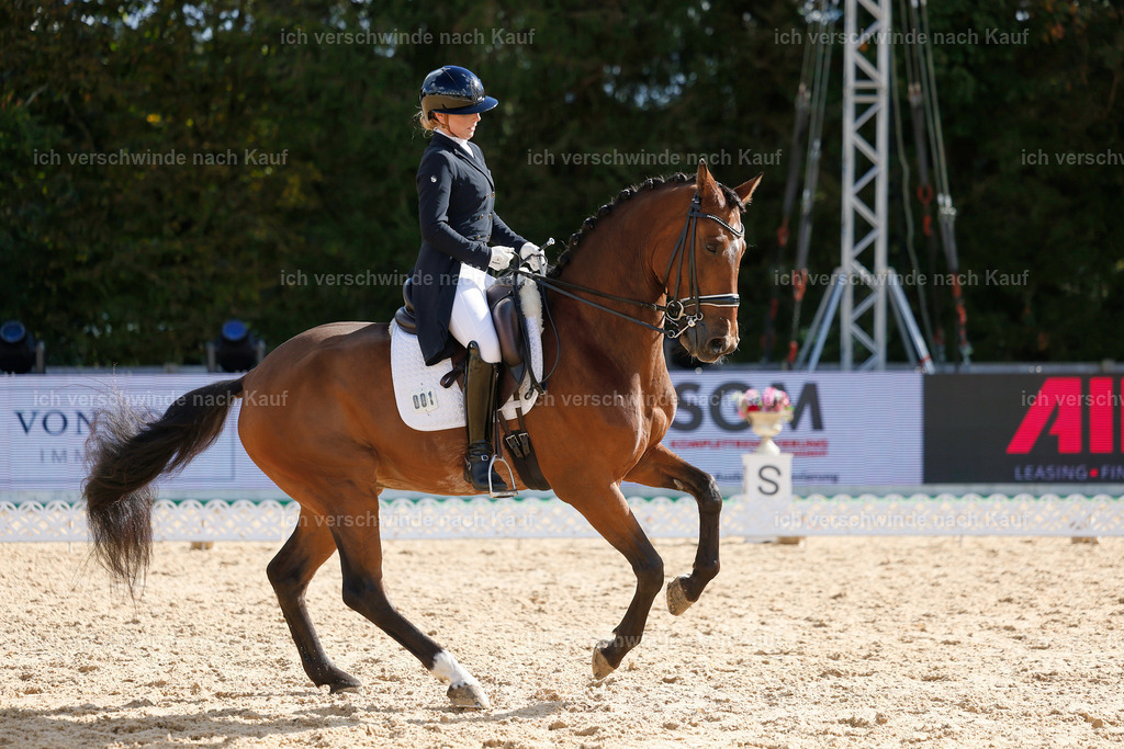 09_2-001-DRESSUR  S_  -StoibPH-5811 | working equitationturnier fotograf videograf stoibphotography marixx film working equitation deutschland reitsport turnierfotografie eventfotografie equestrian events