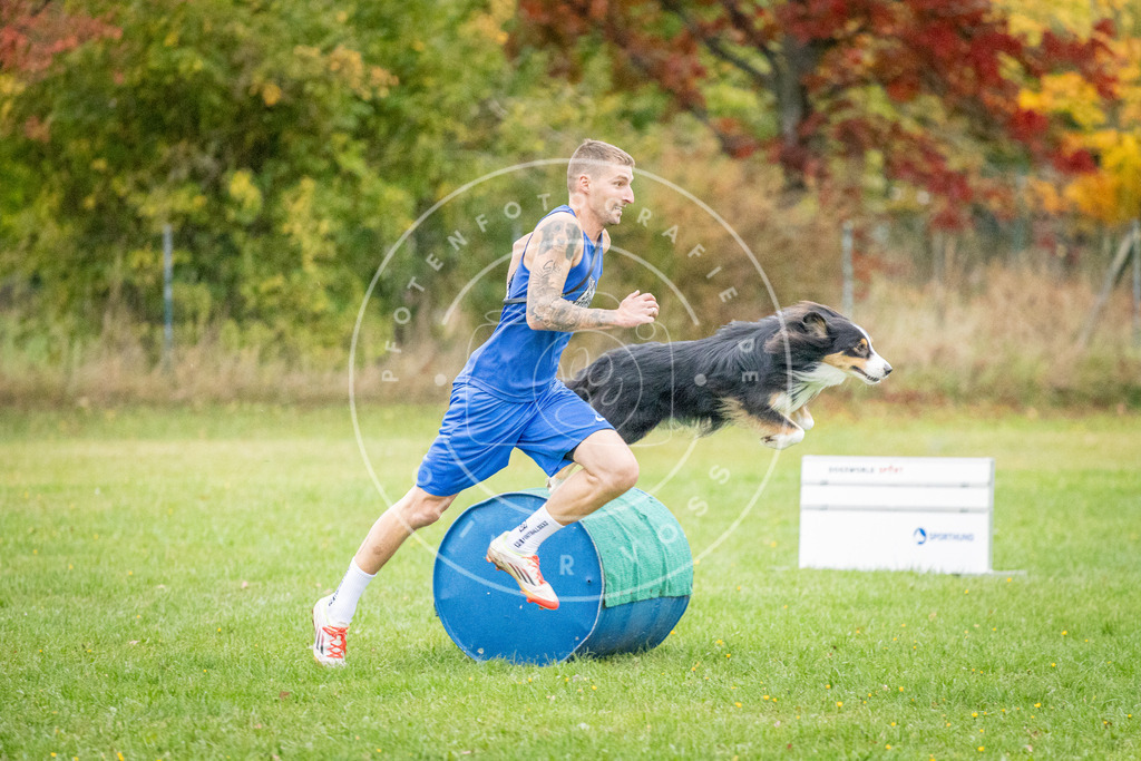 Pfotenfotografie_DV3A0870 | Hundefotografie, Tierfotograf, Pfotenfotografie, Fotoshooting Hund, Hunde Portrait, Hundesport, Hundeportraits, Heideshooting, Hunde, Sportfotograf, Hundefotograf, Turnierhundsport, THS,  - Realisiert mit Pictrs.com
