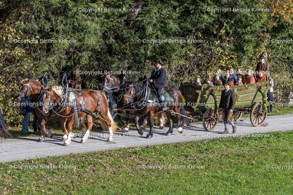 LBT24-704 | foto-bettina-krinner - Realisiert mit Pictrs.com