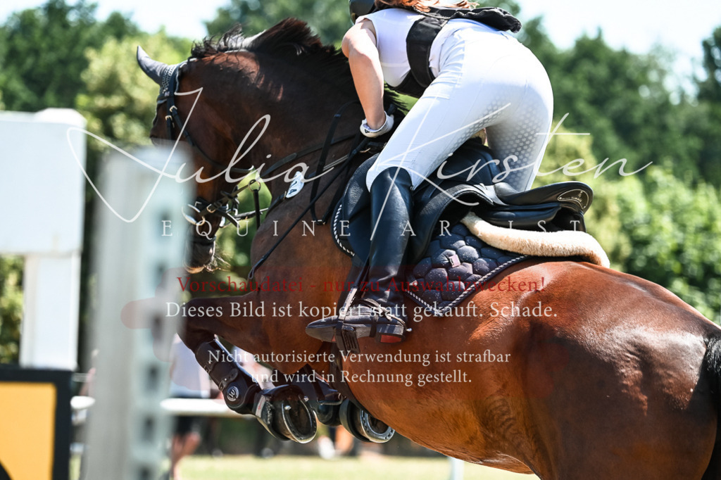DSC_0243 | Pferde- und Turnierfotografie in Westsachsen. Pferdeportraits, Auftragszeichnungen und intuitive Kunst.