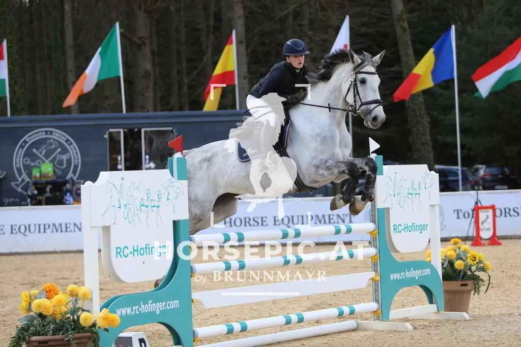 DL2Q9480 | Willkommen bei Brunnmayr - Design & Fotografie – Ihrem Spezialisten für Reitturniere und Pferdeveranstaltungen in Oberösterreich, Salzburg und Bayern! Seit über 17 Jahren sind wir leidenschaftlich dabei.