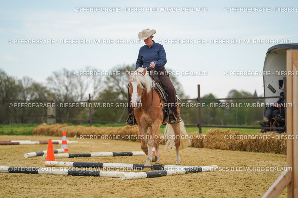 DSC02759 | Pferdegrafie