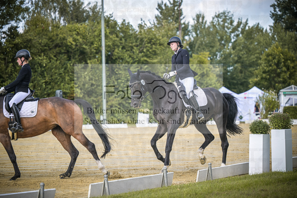 DOS_4739 | Entdecke hochwertige Reitturnierfotos von Foto Oger. Professionell, emotional und authentisch – jetzt Lieblingsmomente im Shop bestellen.Deutschlandweite Turnierfotografie. - Realisiert mit Pictrs.com