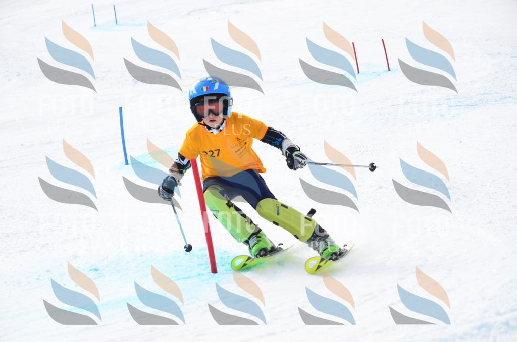 C8286 | holidayphoto