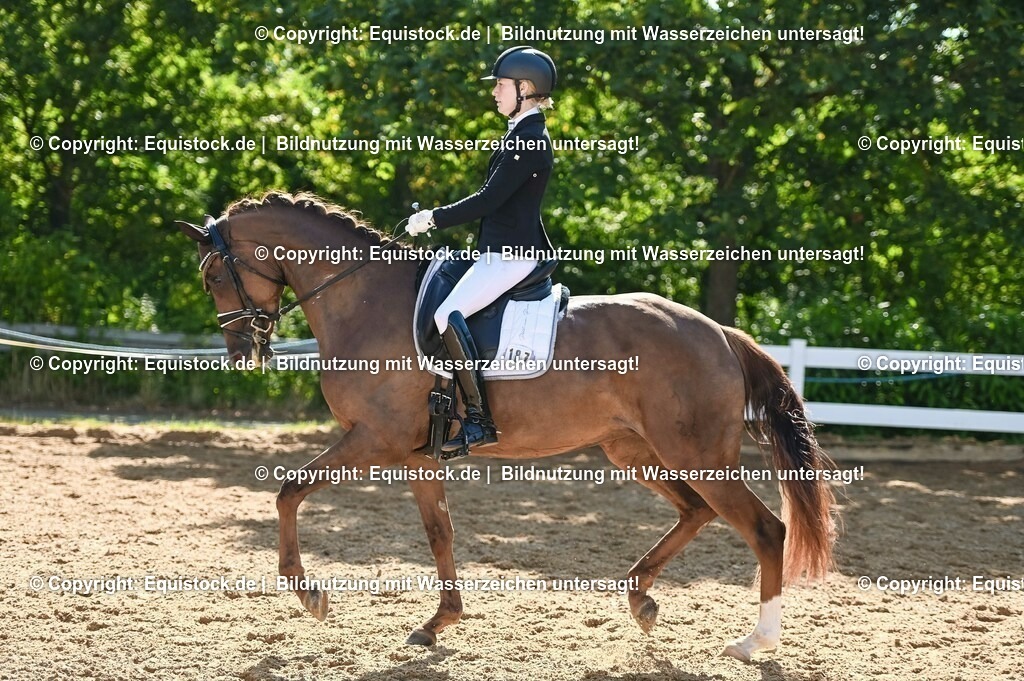 20230715_06_Dressurpferdeprfg. Kl.A_0419 | equistock