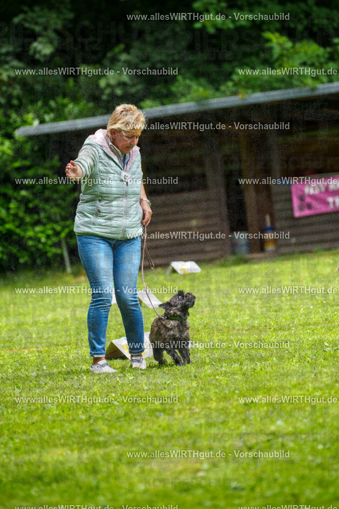@allesWIRTHgut_Tierfotografie - www.allesWIRTHgut.de - 7R504443 | Professionelle Tierfotografie in Mönchengladbach von Daniel Wirth (allesWIRTHgut). Liebevolle & natürliche Bilder von Hunden & Katzen für unvergessliche Erinnerungen.