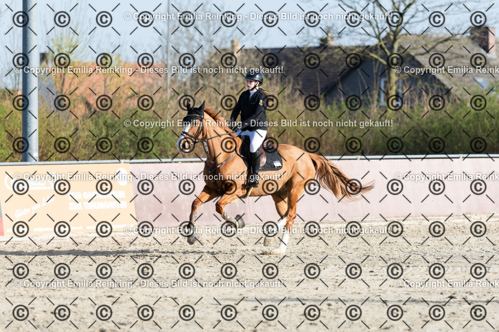 CL5A6126 | Emilia Reinking Fotografie - Realisiert mit Pictrs.com