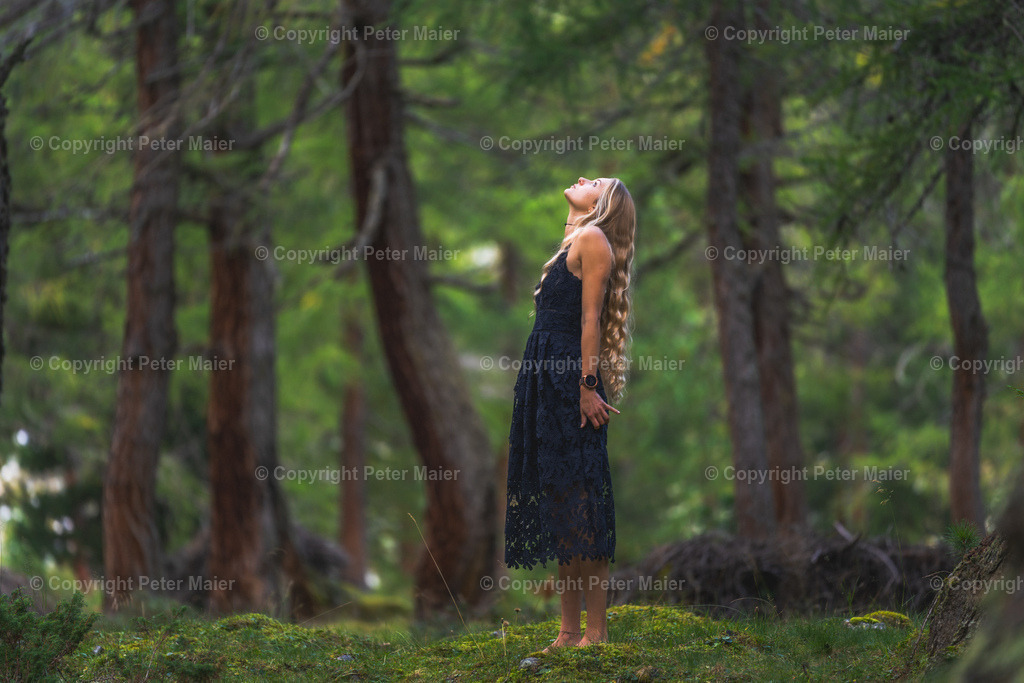 Dorfertal_Erlebnisraum_Wald_23_Peter_Maier-303 | piet_flosse