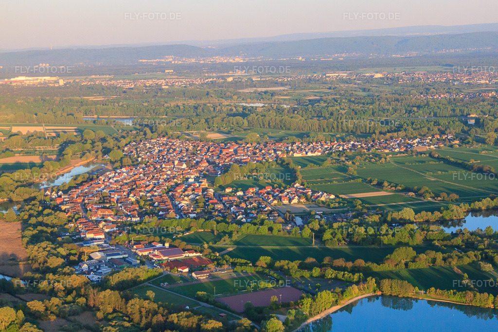Luftbild: Dorfansicht vom Epple bis zum Rhein aus Westen in Neuburg am Rhein im Bundesland Rheinland-Pfalz in Deutschland. Foto: IMG_64453.jpg vom 17.04.2014 durch Werner Riehm/FLY-FOTO.de