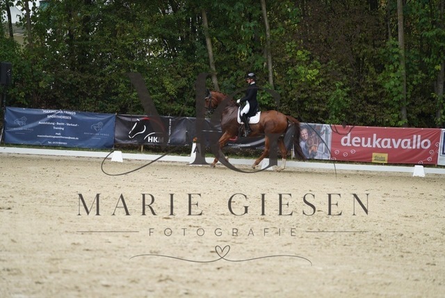 VAN04900 | Marie Giesen Fotografie - Realisiert mit Pictrs.com