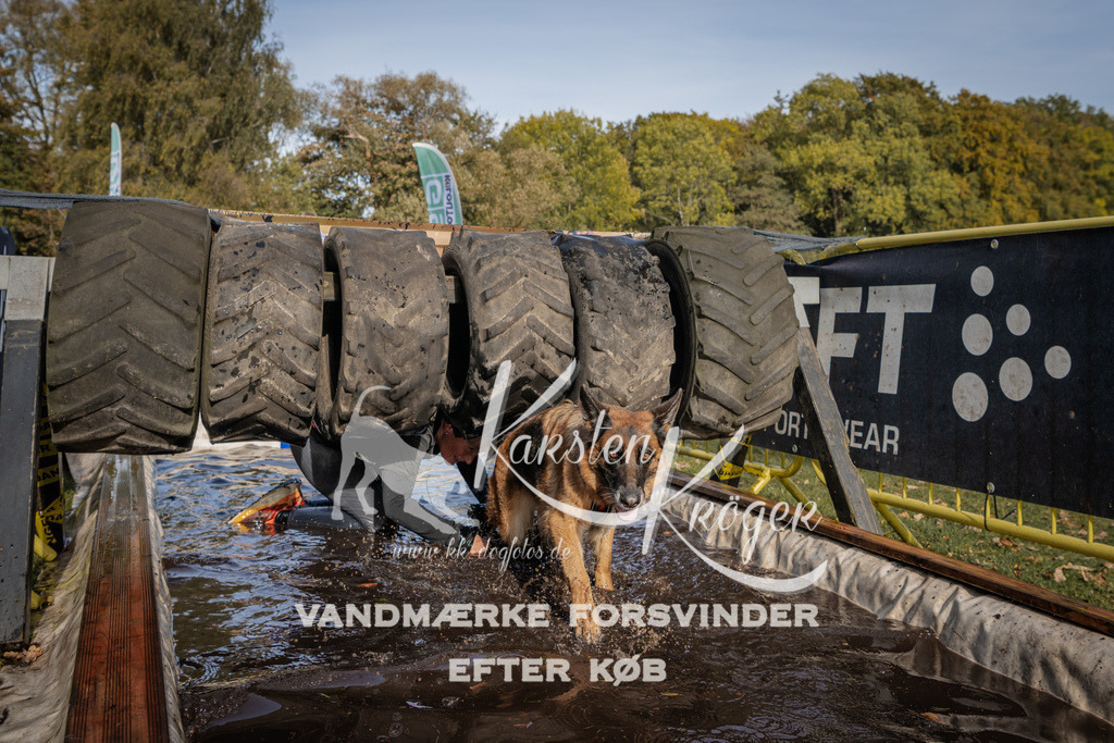 1404_ZZ93945 | kk-dogfotos