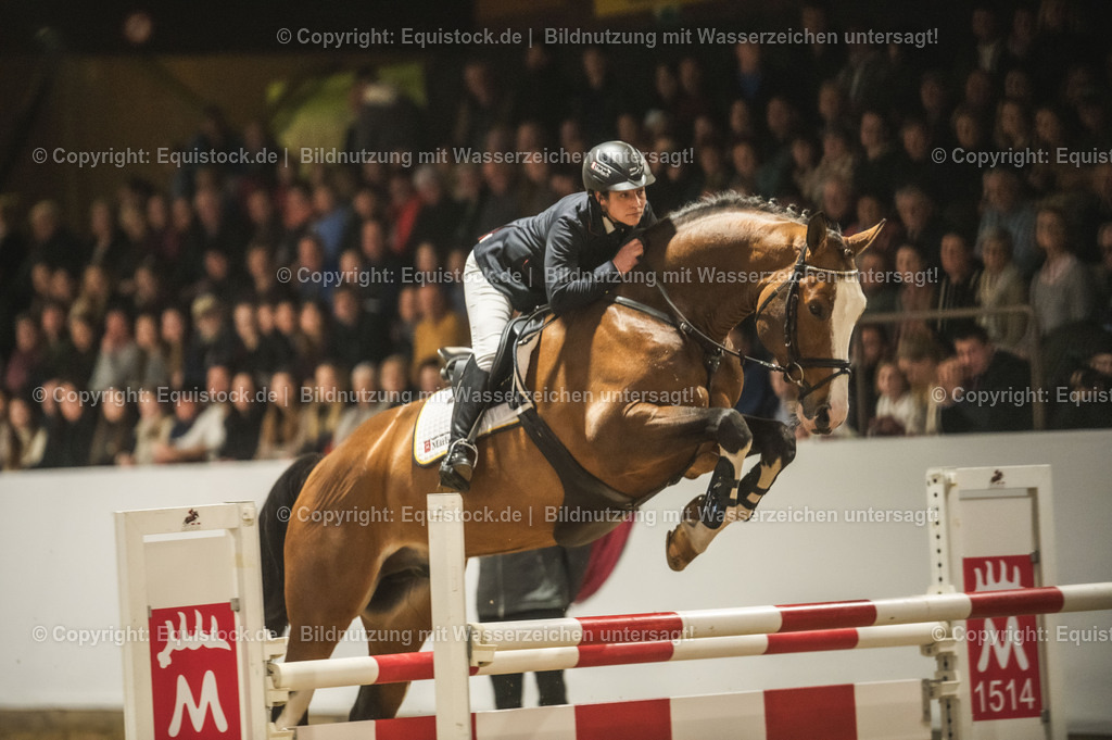20240302_Hengstvorstellung_Marbach_TOMsPiC_0497-2 | equistock