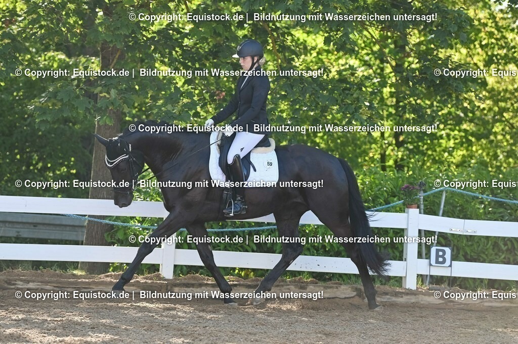 20230715_06_Dressurpferdeprfg. Kl.A_0107 | equistock