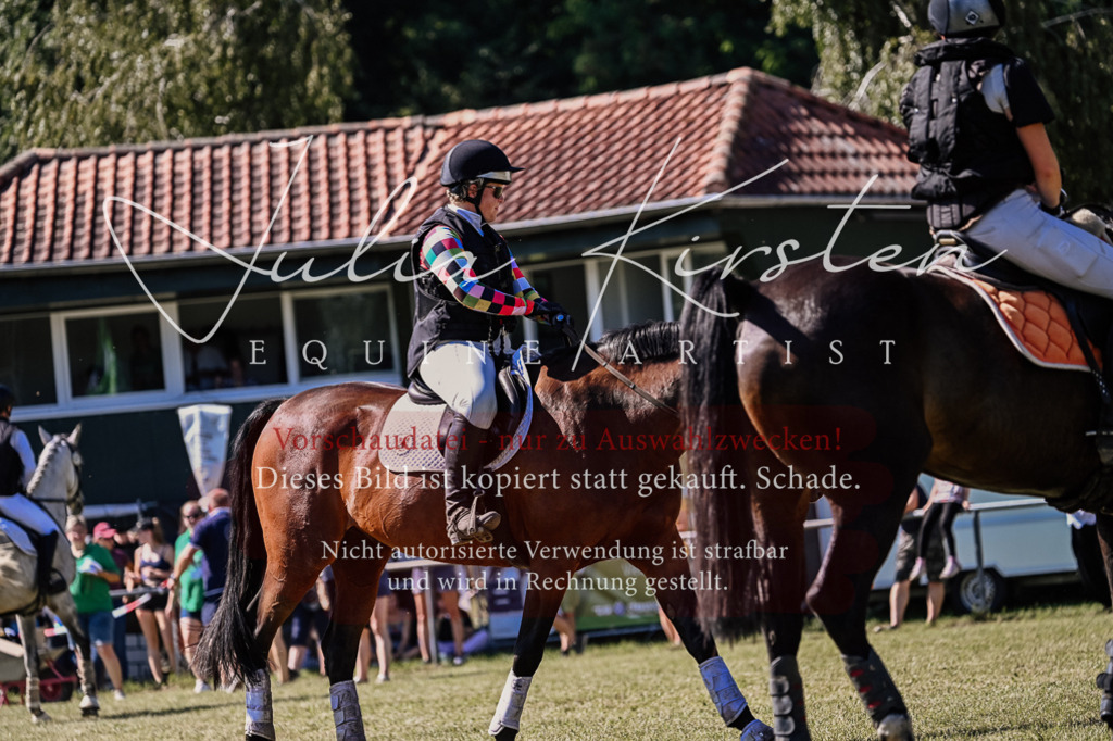 DSC_2571 | Pferde- und Turnierfotografie in Westsachsen. Pferdeportraits, Auftragszeichnungen und intuitive Kunst.