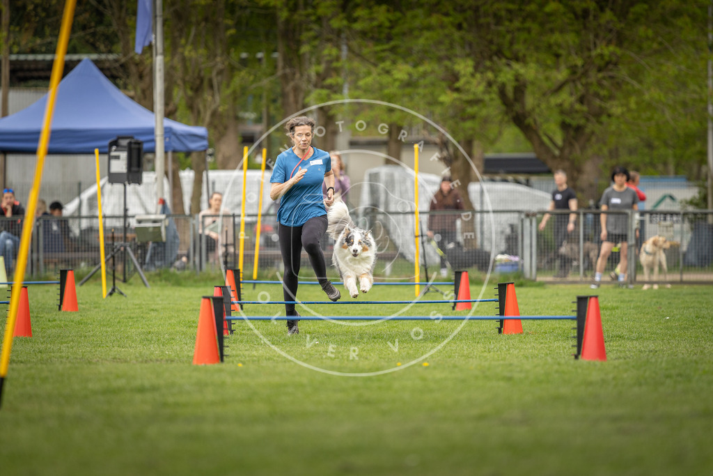 Pfotenfotografie_DV3A8558 | Hundefotografie, Tierfotograf, Pfotenfotografie, Fotoshooting Hund, Hunde Portrait, Hundesport, Hundeportraits, Heideshooting, Hunde, Sportfotograf, Hundefotograf, Turnierhundsport, THS,  - Realisiert mit Pictrs.com