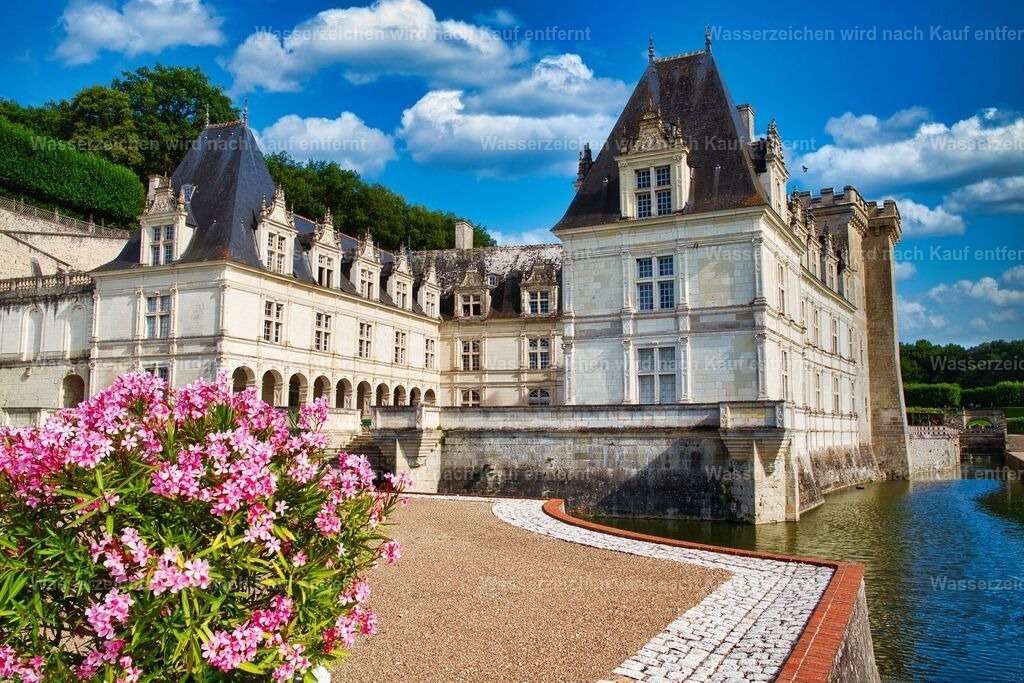 Frankreich - Blick auf Château de Villandry im Loiretal | Das Château de Villandry im Loiretal zählt zu den schönsten Renaissance-Schlössern Frankreichs und ist weltweit für seine kunstvoll angelegten Gärten bekannt. Die weitläufige Anlage umfasst prachtvolle Ziergärten, einen historischen Potager, Wassergärten und geometrisch gestaltete Heckenanlagen. Mit ihrer harmonischen Symmetrie und der farbenfrohen Bepflanzung gilt die Schlossanlage als eines der bedeutendsten Beispiele französischer Gartenkunst und ist ein beliebtes Reiseziel im UNESCO-Welterbe Loiretal. - Realisiert mit Pictrs.com