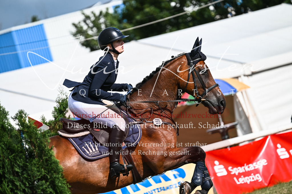 DSC_7853 | Pferde- und Turnierfotografie in Westsachsen. Pferdeportraits, Auftragszeichnungen und intuitive Kunst.