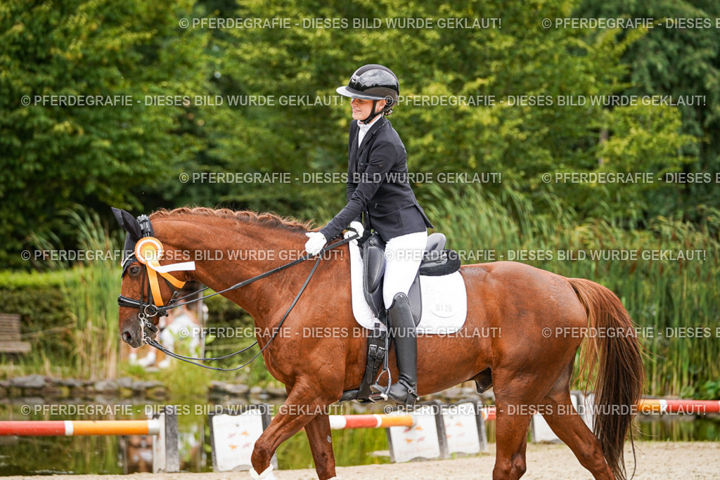 DSC04858 | Pferdegrafie