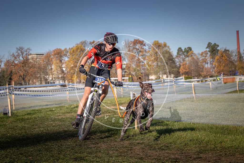 CaniXpix_0L8A6098 | Hundefotografie, Tierfotograf, Pfotenfotografie, Fotoshooting Hund, Hunde Portrait, Hundesport, Hundeportraits, Heideshooting, Hunde, Sportfotograf, Hundefotograf, Turnierhundsport, THS,  - Realisiert mit Pictrs.com