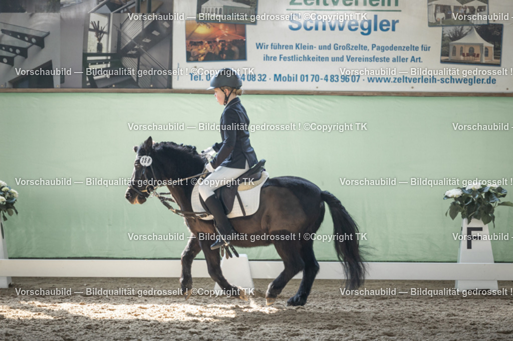 _D5A8864 | Emotionale Pferde- & People-Fotografie rund um Heidelberg, Leimen & Umgebung. Natürliche Fotos von Pferd, Mensch & Familie. Jetzt Termin sichern!