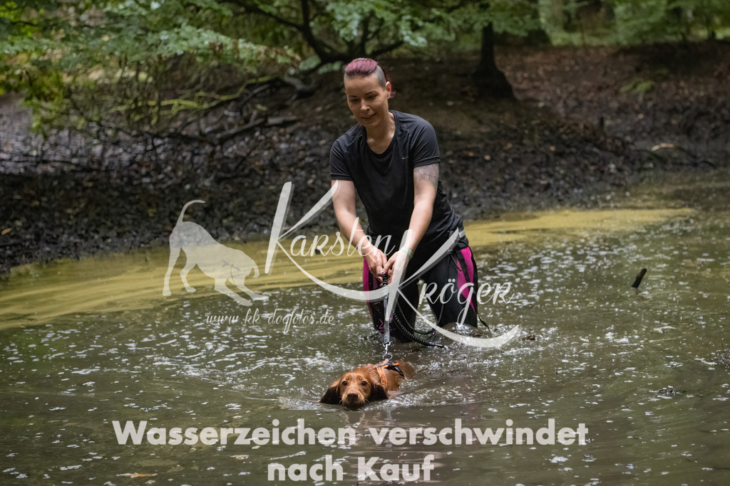 0920_ZZ90328-Bearbeitet | kk-dogfotos