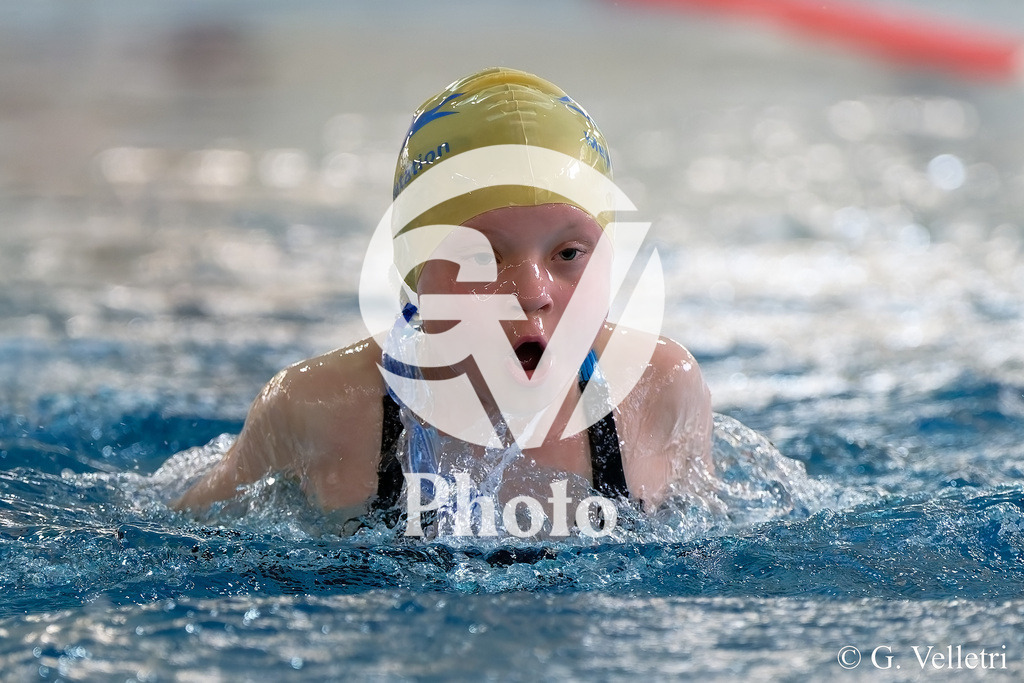 DSC_8902 | Velletri Photo