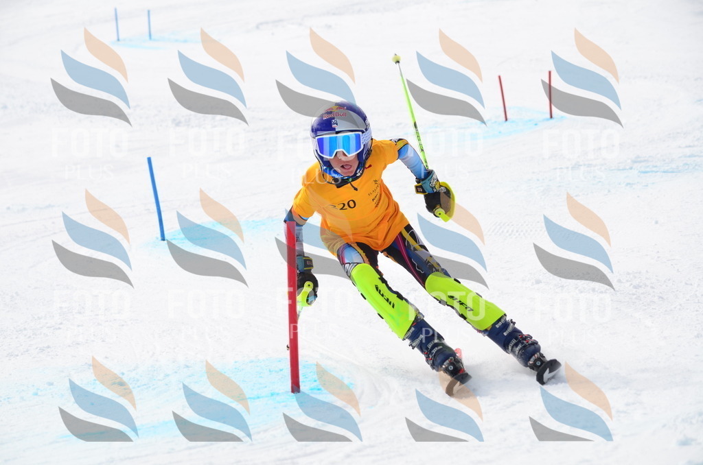 C8238 | holidayphoto